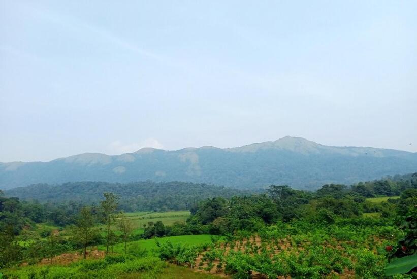 Himani Heritage Resorts, Formerly Camp Nishani Holidays Madikeri Esterno foto